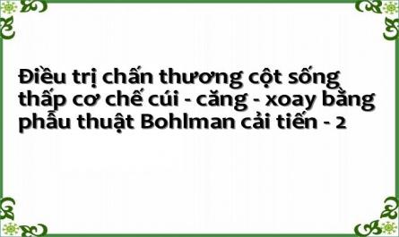 Điều trị chấn thương cột sống thấp cơ chế cúi - căng - xoay bằng phẫu thuật Bohlman cải tiến - 2