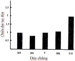 Hình 1 4 Tay đòn của các dây chằng từ Biểu đồ 1 1 Độ dài tay đòn inches nơi 7
