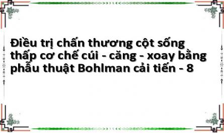 Phẫu Thuật Nẹp – Vít Thân Đốt Lối Trước (Hình Minh Họa H1.24)