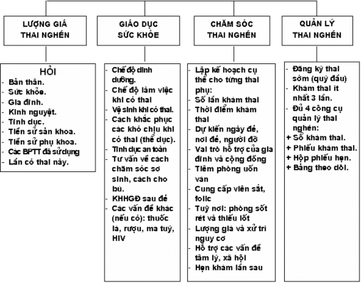 Sơ đồ 1 1 Các hoạt động chăm sóc trước sinh 4 11 CSTS là chăm sóc bà mẹ khi 1