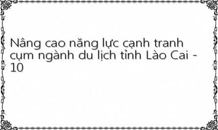 Nâng cao năng lực cạnh tranh cụm ngành du lịch tỉnh Lào Cai - 10