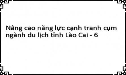 Số Lượng Cơ Sở Lưu Trú Ở Lào Cai Từ Năm 2006 -2013