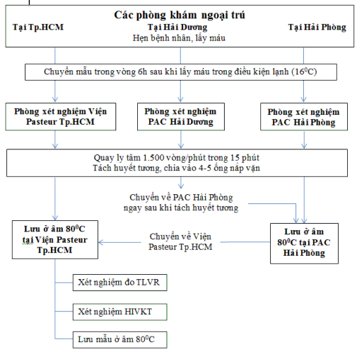Sơ đồ 2 2 Sơ đồ lấy mẫu vận chuyển và xử lý mẫu trong nghiên cứu Những 1