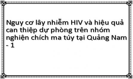 Nguy cơ lây nhiễm HIV và hiệu quả can thiệp dự phòng trên nhóm nghiện chích ma túy tại Quảng Nam - 1