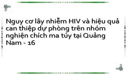 Nguy cơ lây nhiễm HIV và hiệu quả can thiệp dự phòng trên nhóm nghiện chích ma túy tại Quảng Nam - 16
