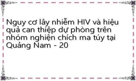 Nguy cơ lây nhiễm HIV và hiệu quả can thiệp dự phòng trên nhóm nghiện chích ma túy tại Quảng Nam - 20
