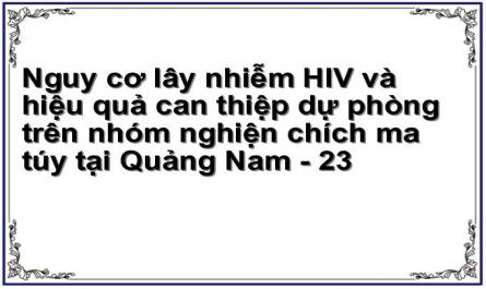 Nguy cơ lây nhiễm HIV và hiệu quả can thiệp dự phòng trên nhóm nghiện chích ma túy tại Quảng Nam - 23