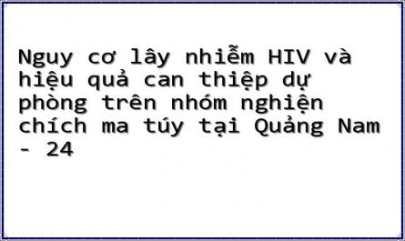 Nguy cơ lây nhiễm HIV và hiệu quả can thiệp dự phòng trên nhóm nghiện chích ma túy tại Quảng Nam - 24