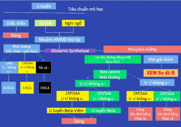 Hình 4 1 Thuật toán chẩn đoán UTTBG Sơ đồ A 192 Hình 4 2 Thuật toán chẩn đoán 1