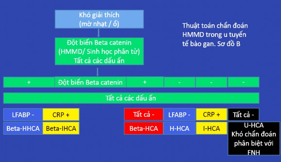 Hình 4 2 Thuật toán chẩn đoán UTTBG Sơ đồ B 192 Nguyên tắc sau khi chẩn đoán 2