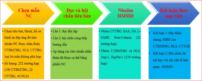 Hình 2 1 Sơ đồ thiết kế nghiên cứu CHƯƠNG 3 KẾT QUẢ NGHIÊN CỨU 3 1 Một số 1