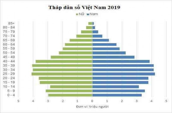 Hình 4 2 Tháp dân số Việt Nam năm 2019 Nguồn thông tin CIA factbook 2019 Việt Nam là 2