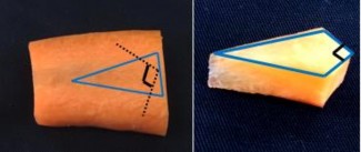 Dùng xúc sóng tròn xúc 1 miếng cà rốt dài khoảng 1 – 1 2cm làm mào thiên nga Lưu 10