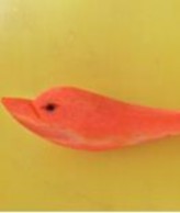 Hình con cá tỉa từ cà rốt Bài tham khảo 3 TỈA HOA THƯỢC DƯỢC TRÊN DƯA HẤU 8