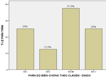 Biểu đồ 3 2 Phân độ biến chứng theo Clavien – Dindo Nhận xét Tổng số 8 33 3 1