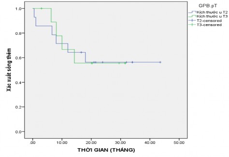 Biểu đồ 3 6 Thời gian sống thêm theo kích thước u theo Kaplan – Meier Bảng 3 44 2