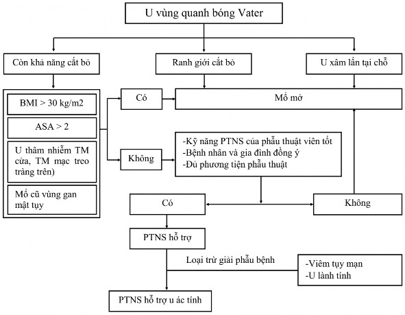 Sơ đồ 2 1 Sơ đồ nghiên cứu 2 2 2 2 Các bước kỹ thuật phẫu thuật nội soi 1