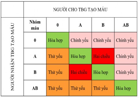 Sự bất đồng nhóm máu giữa người cho và người nhận Theo Ignor B và cộng sự 1