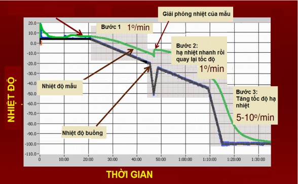 Hình 2 1 Các bước hạ nhiệt độ theo quy trình định sẵn Bước 3 Rã đông khối 1