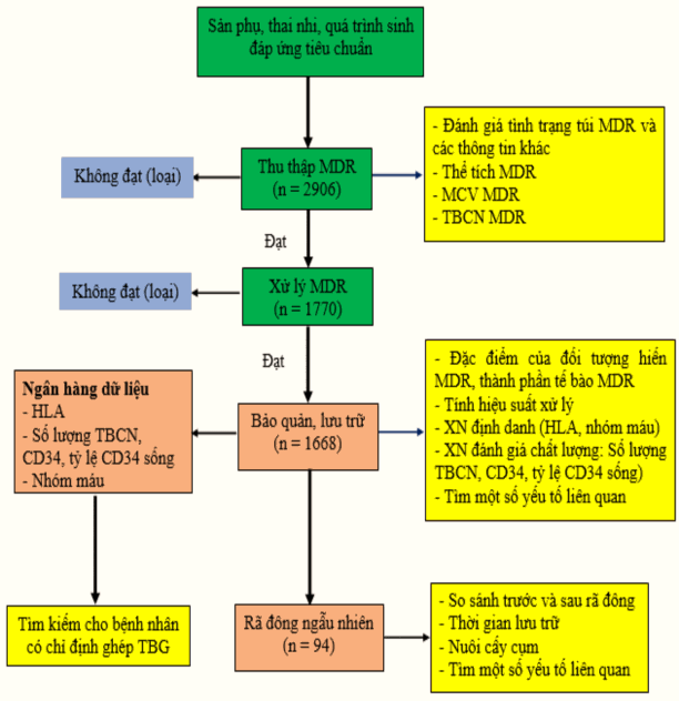 CHƯƠNG 3‌ KẾT QUẢ NGHIÊN CỨU 3 1 Một số đặc điểm sản phụ và thai nhi 5