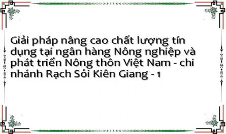 Giải pháp nâng cao chất lượng tín dụng tại ngân hàng Nông nghiệp và phát triển Nông thôn Việt Nam - chi nhánh Rạch Sỏi Kiên Giang - 1