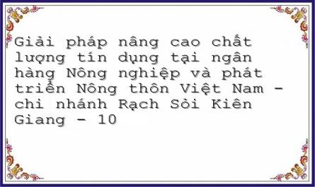 Giải pháp nâng cao chất lượng tín dụng tại ngân hàng Nông nghiệp và phát triển Nông thôn Việt Nam - chi nhánh Rạch Sỏi Kiên Giang - 10