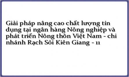 Giải pháp nâng cao chất lượng tín dụng tại ngân hàng Nông nghiệp và phát triển Nông thôn Việt Nam - chi nhánh Rạch Sỏi Kiên Giang - 11