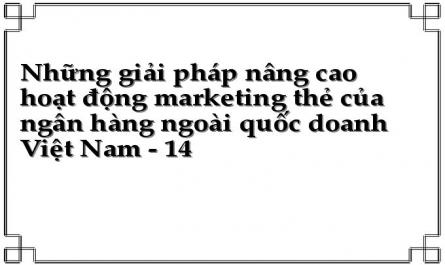 Những giải pháp nâng cao hoạt động marketing thẻ của ngân hàng ngoài quốc doanh Việt Nam - 14