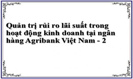 Quản trị rủi ro lãi suất trong hoạt động kinh doanh tại ngân hàng Agribank Việt Nam - 2