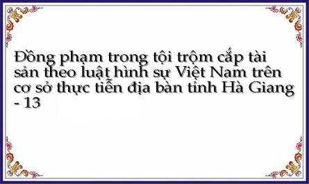 Đồng phạm trong tội trộm cắp tài sản theo luật hình sự Việt Nam trên cơ sở thực tiễn địa bàn tỉnh Hà Giang - 13