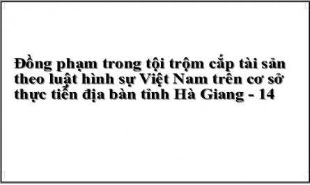 Đồng phạm trong tội trộm cắp tài sản theo luật hình sự Việt Nam trên cơ sở thực tiễn địa bàn tỉnh Hà Giang - 14