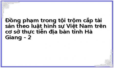 Đồng phạm trong tội trộm cắp tài sản theo luật hình sự Việt Nam trên cơ sở thực tiễn địa bàn tỉnh Hà Giang - 2