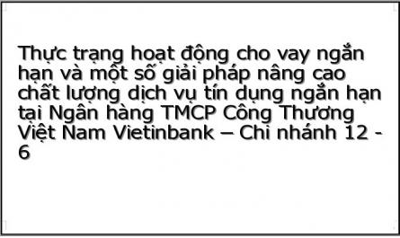 Thực Trạng Hoạt Động Cho Vay Ngắn Hạn Tại Ngân Hàng Tmcp Công Thương Việt Nam- Chi Nhánh 12