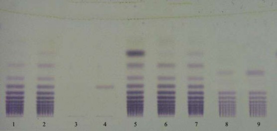 3 Dung môi 1 Dung dịch thử BK1 6 Dung dịch thử BK4 4 Dung dịch chuẩn nystose 2 Dung 1