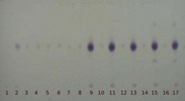 1 Dung môi 2 Dung dịch chuẩn 3 4 5 6 7 8 Dung dịch đối chiếu 1 9 Dung dịch thử 1 10 2