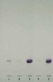 a 6 tháng b 1 năm 1 Dung dịch chuẩn 2 Dung dịch đối chiếu 1 3 Dung dịch thử 1 4 1