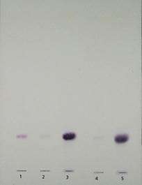 a 6 tháng b 1 năm 1 Dung dịch chuẩn 2 Dung dịch đối chiếu 1 3 Dung dịch thử 1 4 2