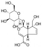 Cấu trúc hoá học monotropein Tên khoa học 1S 1a 4aa 7b 7aa 1 b D Glucopyranosyloxy 1 4a 7 1