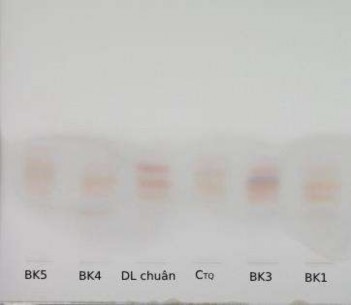 Hình 3 1 Hình ảnh sắc ký đồ SKLM các mẫu Ba kích – Phương pháp B Nhận xét 3