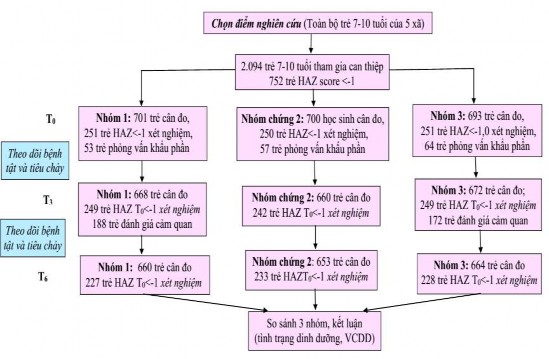 Hình 2 2 Sơ đồ thiết kế nghiên cứu 2 2 4 Phân phối sản phẩm nghiên cứu Sữa 1