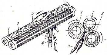 Hình 6 19 Bộ phận làm sạch bắp ngô 1 2 trục ngang 3 bắp ngô chưa làm sạch 4 15