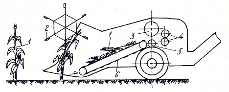 Hình 6 13 Bộ phận gạt và cung cấp cây của máy thu hoạch ngô trên toàn bộ bề 9