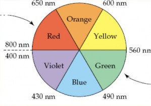 Hình 1 3 Sự hấp thu ánh sáng trong vùng khả kiến Định lượng cấu tử bằng 1