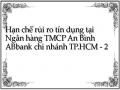 Hạn chế rủi ro tín dụng tại Ngân hàng TMCP An Bình ABbank chi nhánh TP.HCM - 2