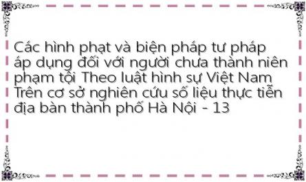 Các hình phạt và biện pháp tư pháp áp dụng đối với người chưa thành niên phạm tội Theo luật hình sự Việt Nam Trên cơ sở nghiên cứu số liệu thực tiễn địa bàn thành phố Hà Nội - 13