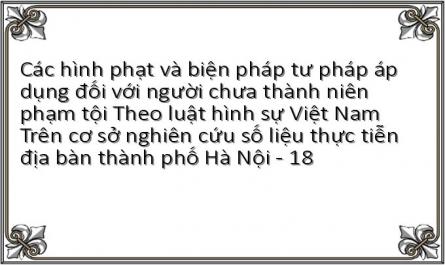 Tăng Cường Hướng Dẫn Bảo Đảm Thực Hiện Áp Dụng Các Biện Pháp Tư Pháp Đối Với Người