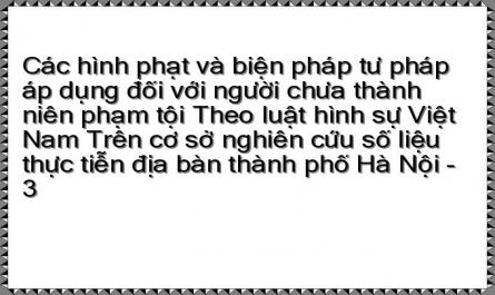 Những Vấn Đề Chung Về Người Chưa Thành Niên Phạm Tội