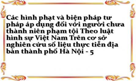 Những Vấn Đề Chung Về Các Hình Phạt Và Biện Pháp Tư Pháp Áp Dụng Đối Với Người Chưa