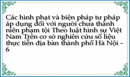 Khái Niệm Và Những Đặc Điểm Cơ Bản Của Các Biện Pháp Tư Pháp Áp Dụng Đối Với Người