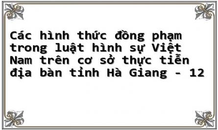 Các hình thức đồng phạm trong luật hình sự Việt Nam trên cơ sở thực tiễn địa bàn tỉnh Hà Giang - 12